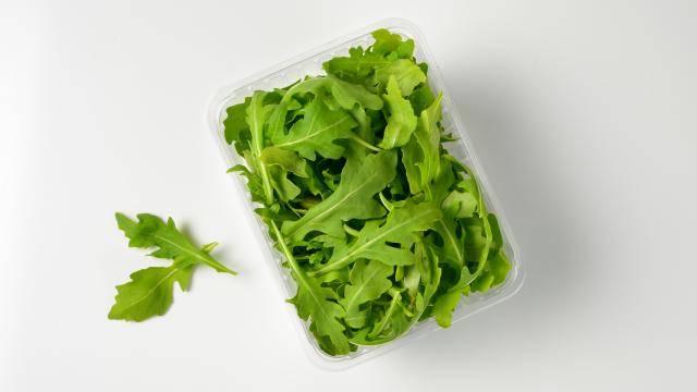 Rappel produit : ne consommez pas cette salade bio en sachet, la présence de salmonelles a été détectée