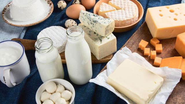 Intolérant au lactose, est-ce que je peux manger du fromage et des yaourts ?