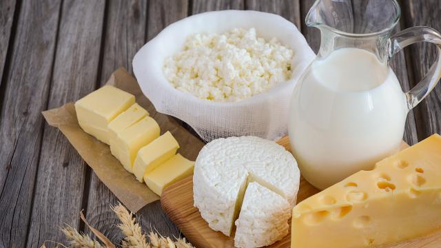 Combien de produits laitiers peut-on réellement manger par jour ?