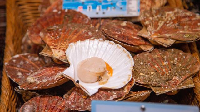 “Une idée pour le réveillon” : Laurent Mariotte propose une recette de Saint-Jacques originale et gourmande !