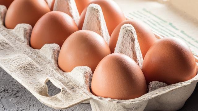 Peut-on consommer des œufs après la date de péremption ?