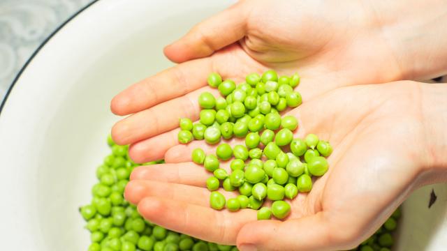 Voici les 4 avantages à manger régulièrement des petits-pois surgelés selon ce gastro-entérologue