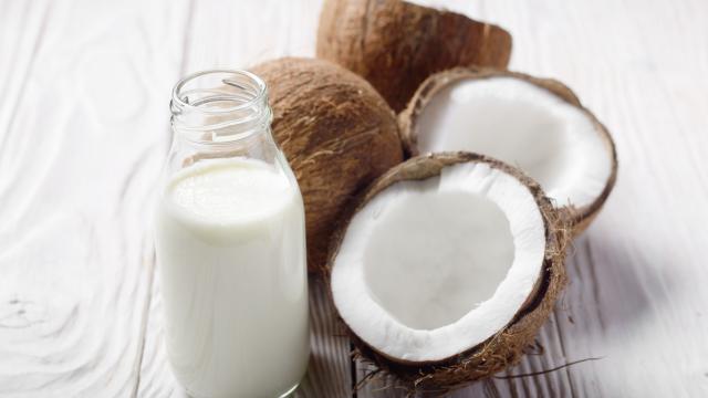 Lait et crème de coco, quelle différence et comment les utiliser ?