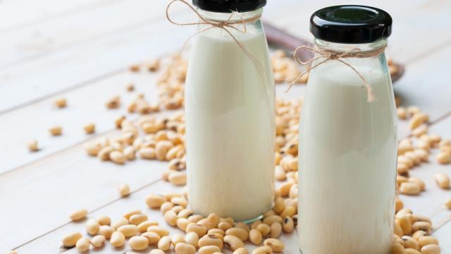 C’en est fini du lait de soja et du fromage végétal