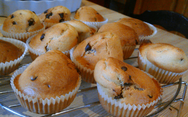 Muffins nature