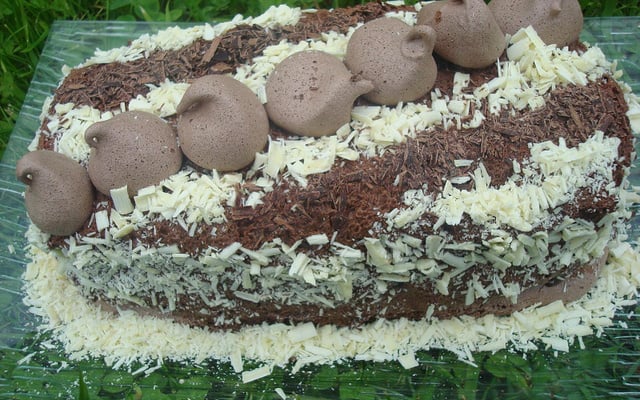 Ma Bûche Concorde