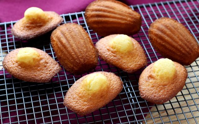 Madeleines, la recette 100% fiable !