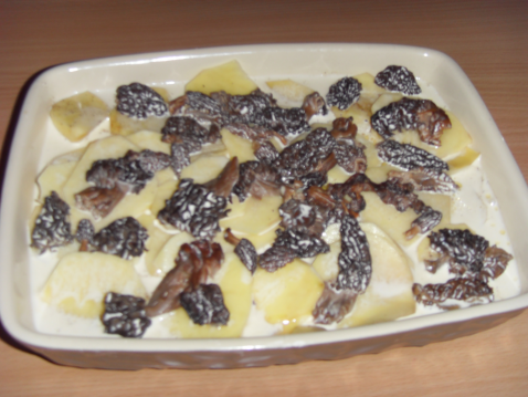 Gratin de pommes de terre aux morilles