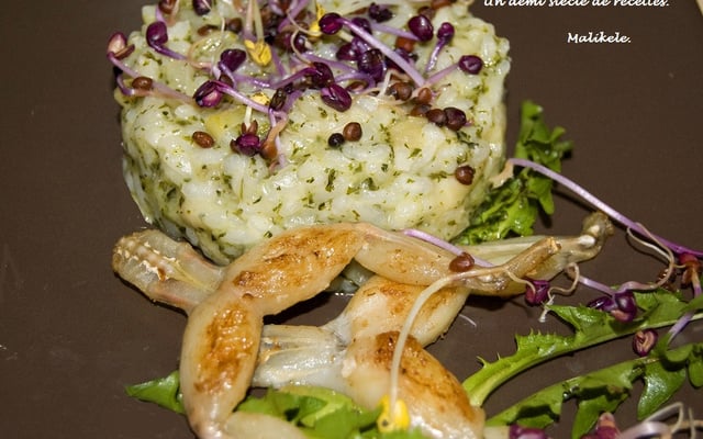 Risotto aux grenouilles et au cerfeuil