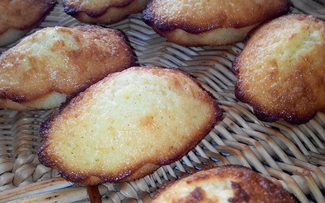 Madeleines, la recette 100% fiable !