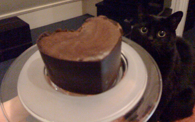 P'tites mousses au chocolat noir en coque