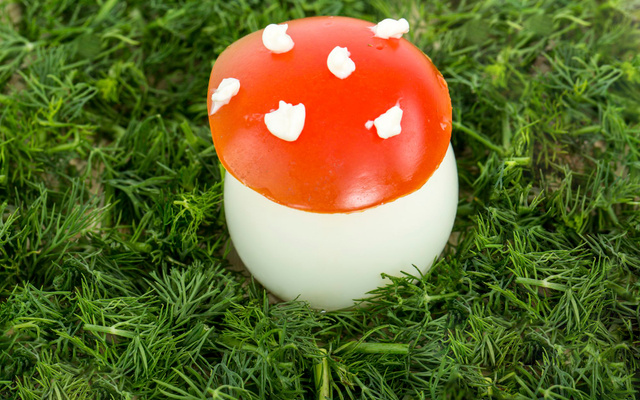 Œuf dur comme un champignon