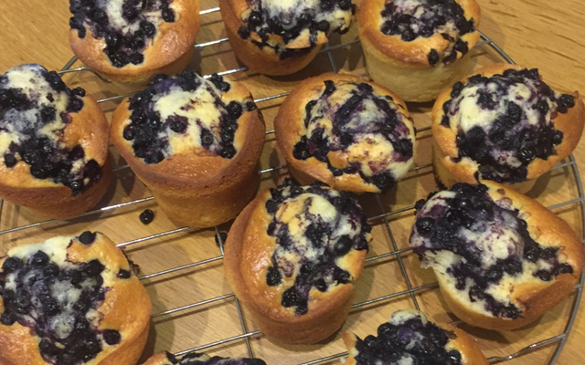 Muffins à la myrtille