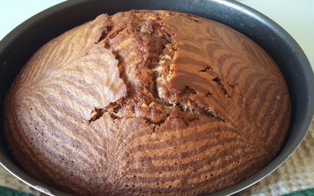 Gâteau zébré vanille chocolat