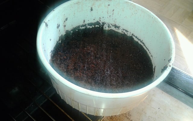 Fondant au chocolat sans œuf