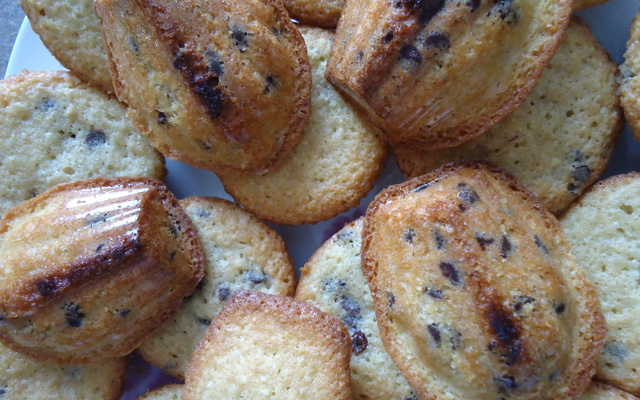 Madeleines aux pépites de chocolat