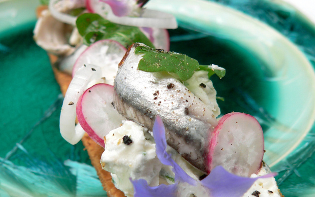 Tarte fine Philadelphia, anchois marinés et herbes du jardin