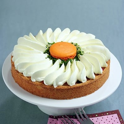 Pâquerette de Soissons