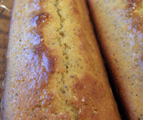 Cake au citron, miel et graines de pavot