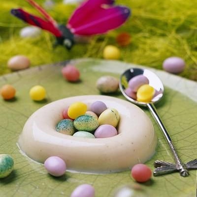 Nids en panna cotta