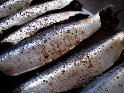 Sardines à la plancha