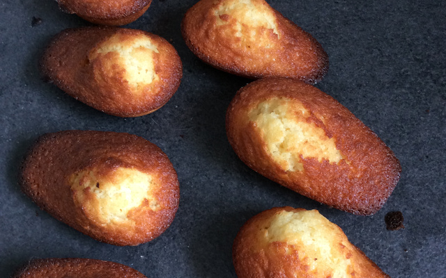Madeleines au miel