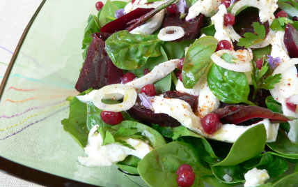 Salade de betterave mozzarella