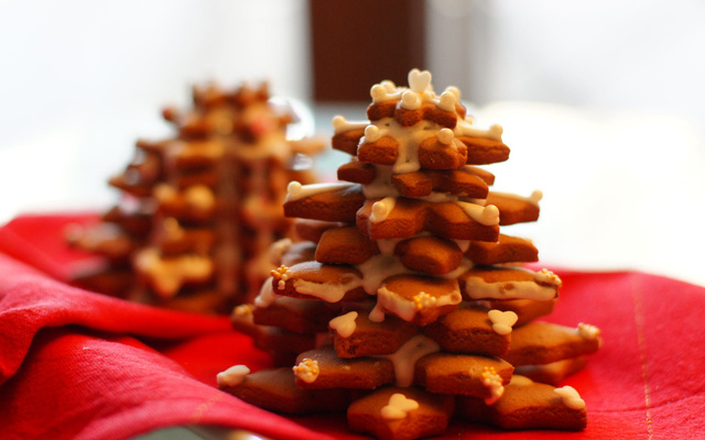 Les sapins gourmands