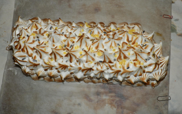Bûche des neiges