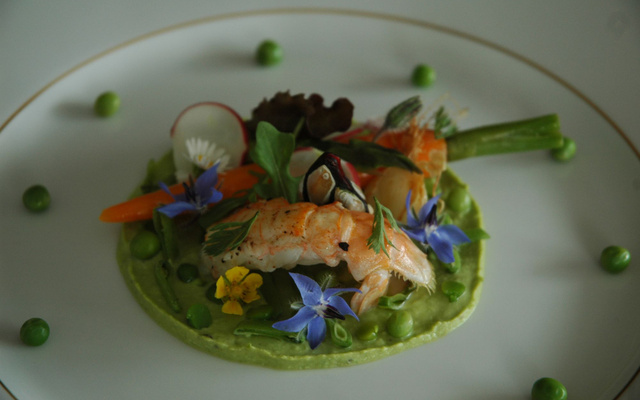 Langoustine sur un lit de petits pois, printanière de légumes