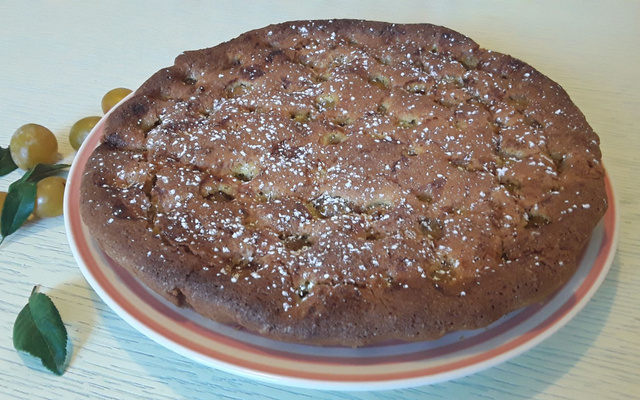 Tarte sans pâte à la mirabelle