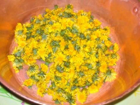 Gelée de fleurs de pissenlits