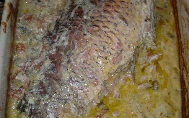 Traditionnelle carpe de Noël allemand