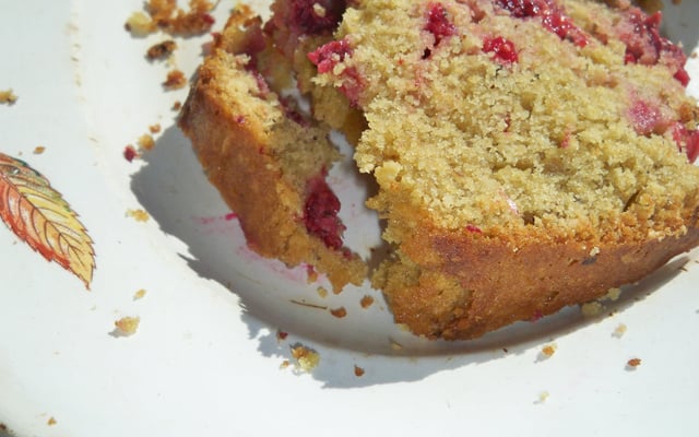 Cake aux groseilles, framboises et noisette