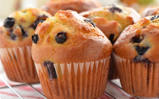 Muffins aux myrtilles et grains de praliné