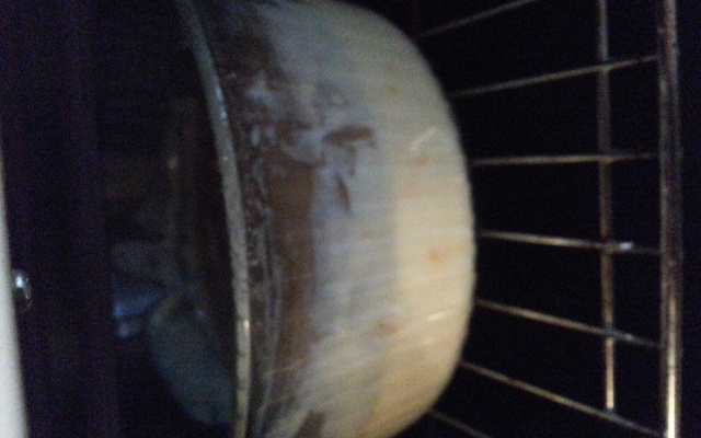 Flan pâtissier sans fond aux abricots