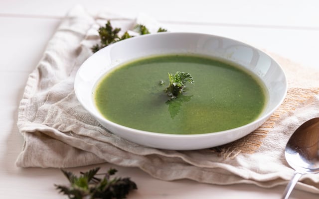 Soupe à l'ortie
