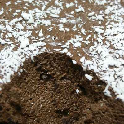 Mousse agar agarienne de chocolat