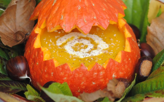 Velouté de potimarron au chèvre sec du Ventoux