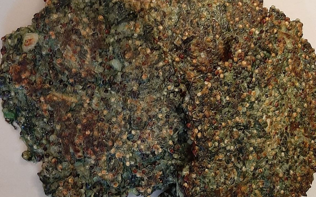 Galettes de quinoa aux épinards, oignons nouveaux et herbes fraiches