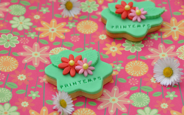 Biscuit à la vanille et sa décoration en pâte à sucre