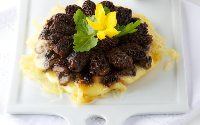 Tatins de Gruyère France aux morilles