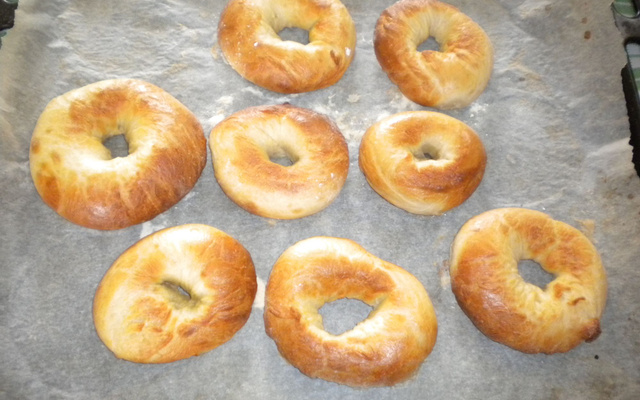 Bagels