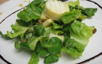 Salade du berger endormi dans un verger