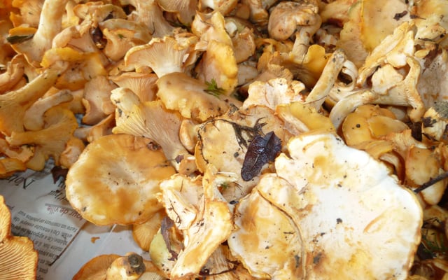 Crumble de citrouille