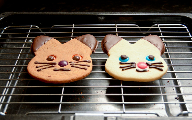 Petits sablés chats faciles et mignons