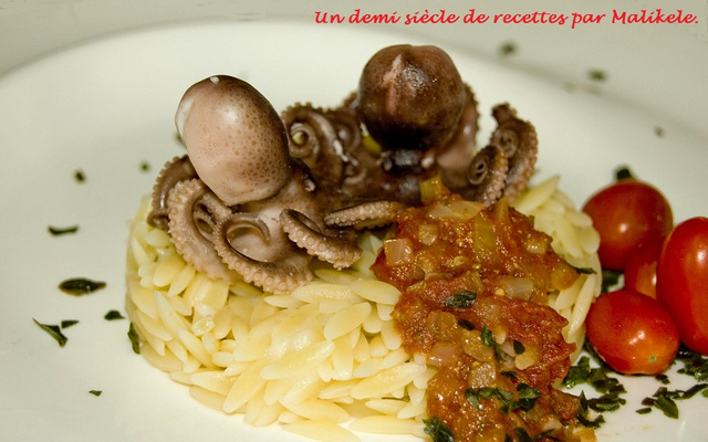 Bébés poulpe au pesto
