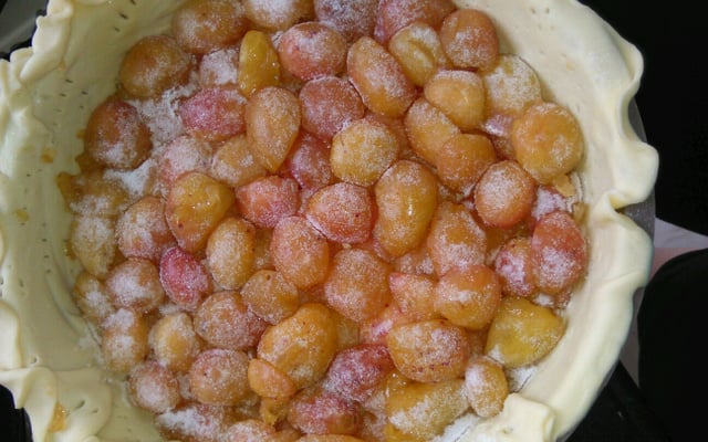 Tarte aux mirabelles inratable