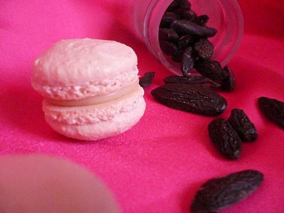 Macarons à la fève Tonka