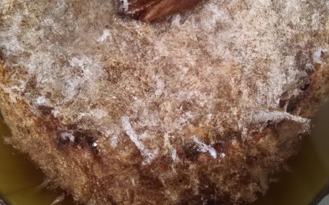 Cake à la noix de coco